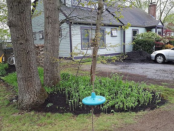4th image of 92 Fales Ave