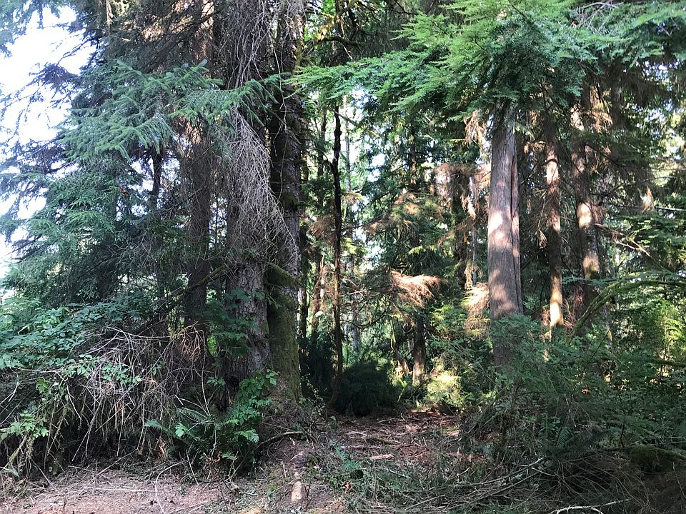 1st image of 193 Xx 273rd Ave SE