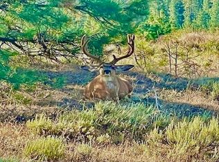 TRACT 134 136 Hawk Crk, Davenport, WA 99122