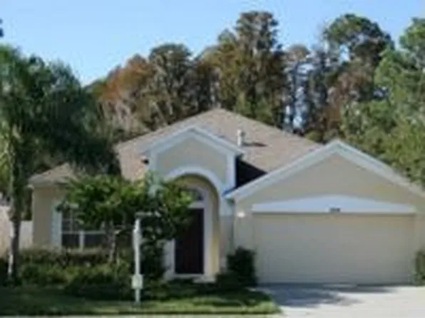 14526 Weeping Elm Dr, Tampa, FL 33626