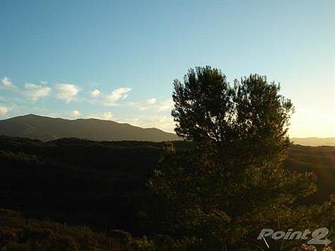 15871 Sequan Truck Trail 004