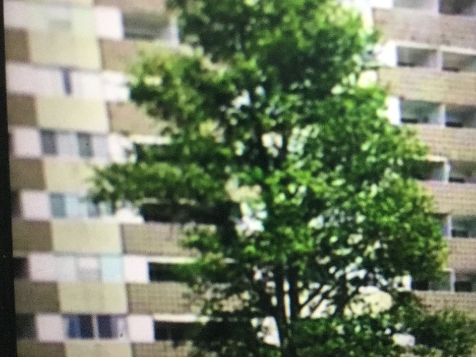 1st image of 1100 Erie Ave Unit 309