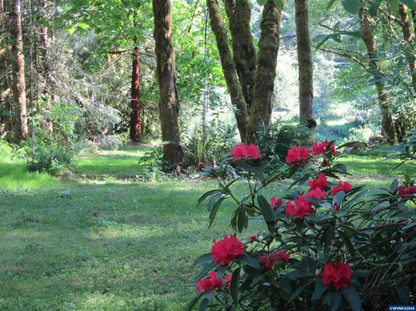 26809 Cecil Ln, Alsea, OR 97324