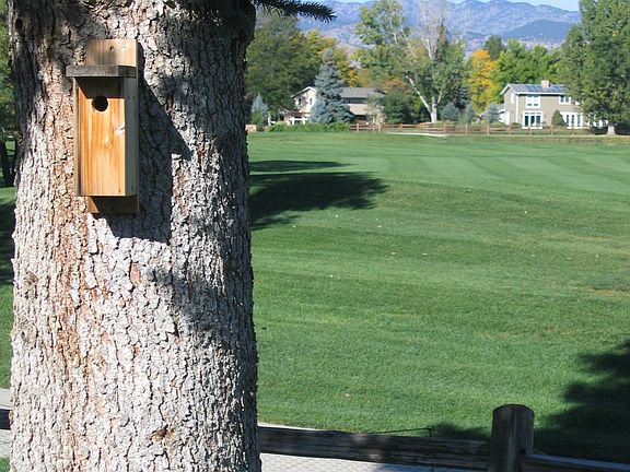 backyard and mountains