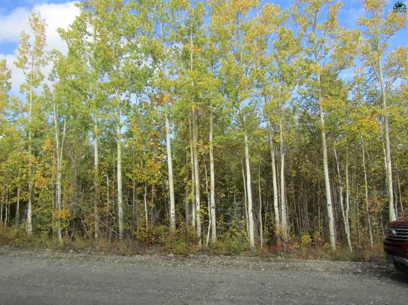 L23 Cathy Ln, Delta Junction, AK 99737
