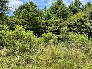 1st image of LOT 7 Fm 556