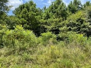 LOT 10 Fm 556, Pittsburg, TX 75686