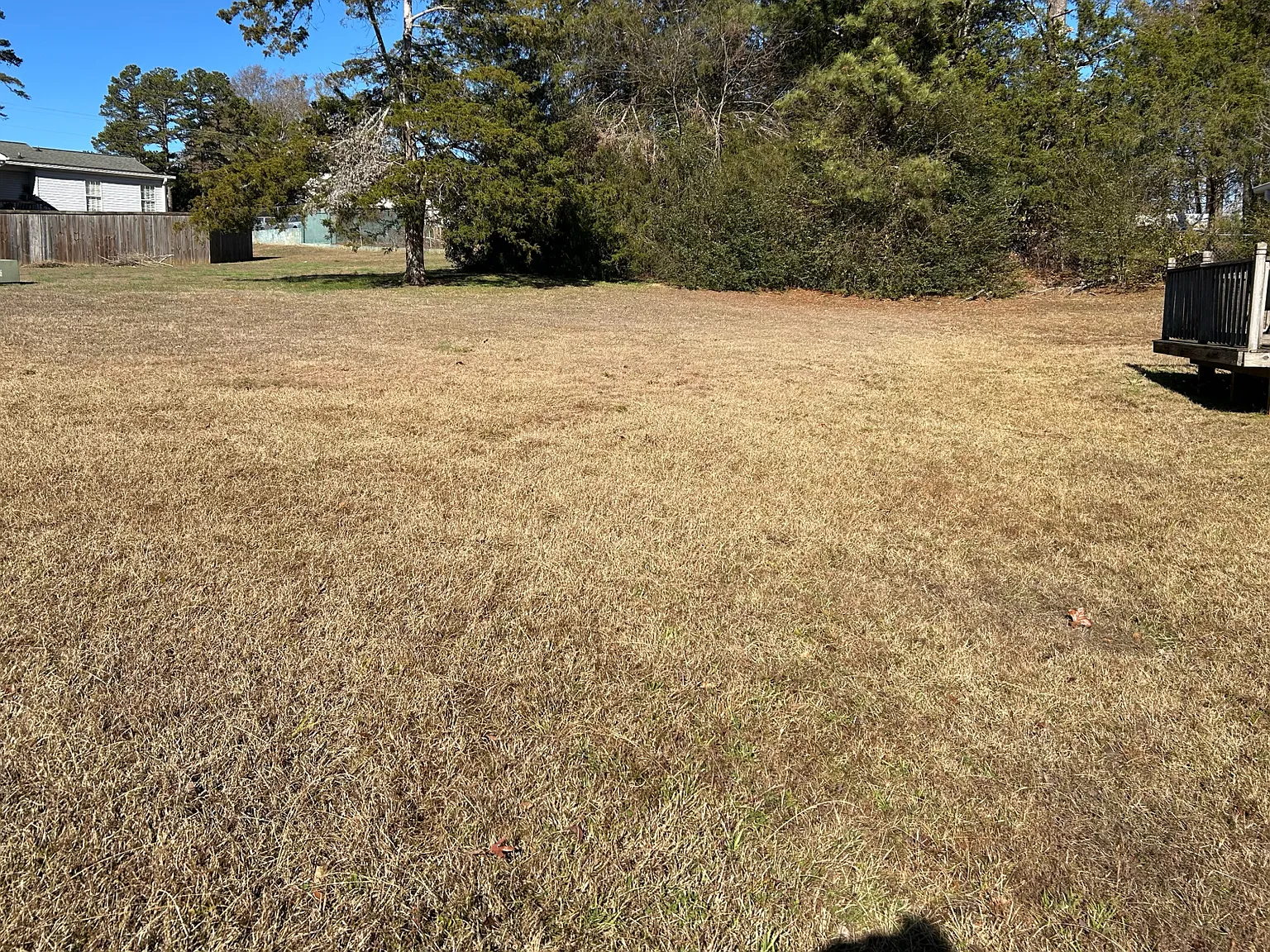 3 bed, 1.5 bath, 1038 sqft, $1,800 — Photo 3