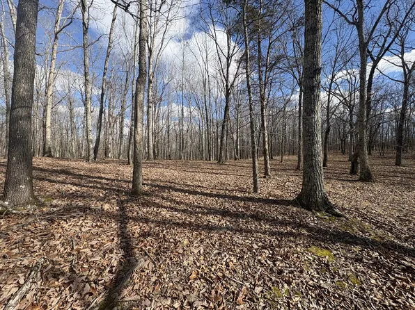 0 Daniel Rd, Waverly, TN 37185