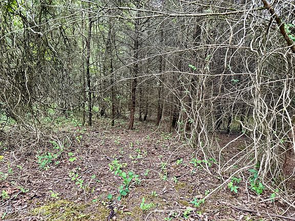 5th image of Wedge Way Lot 206