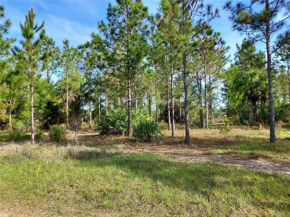 0 Geneva Rd, Geneva, FL 32732