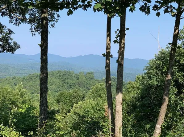 7 Golden Oaks Est, Warne, NC 28909