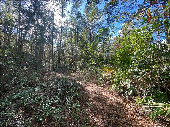 5th image of 862 LAMAR STREET E LOT 1