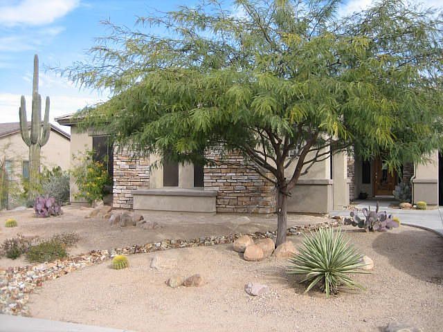 Front Yard