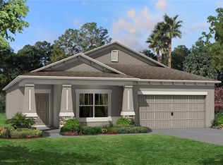 3131 Marine Grass Dr, Wimauma, FL 33598