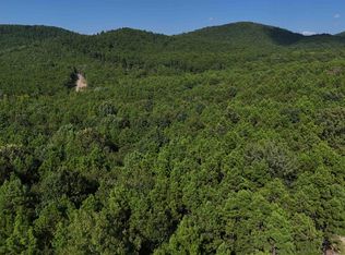 10 Polk Rd #78, Mena, AR 71953