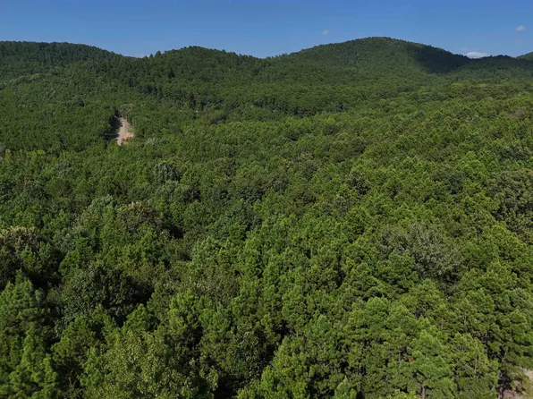 10 Polk Rd #78, Mena, AR 71953