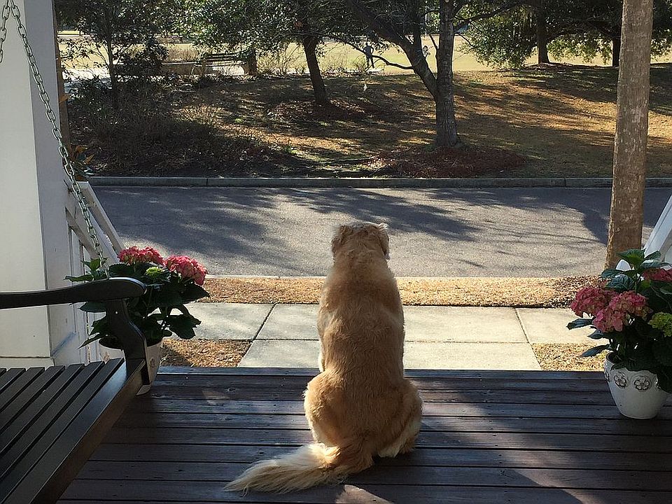 Loving the view