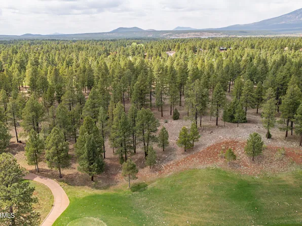 3690 S Woodland Hills Drive #382, Flagstaff, AZ 86005