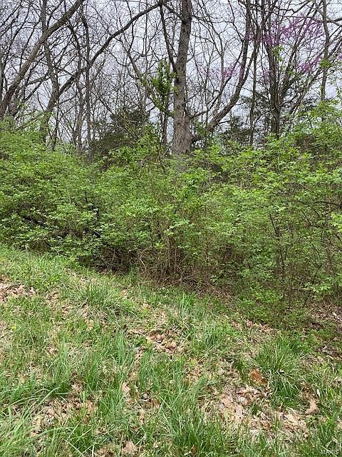 2nd image of 582 Basswood Dr