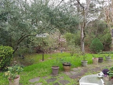 3rd image of 5218 Pine Cliff Dr