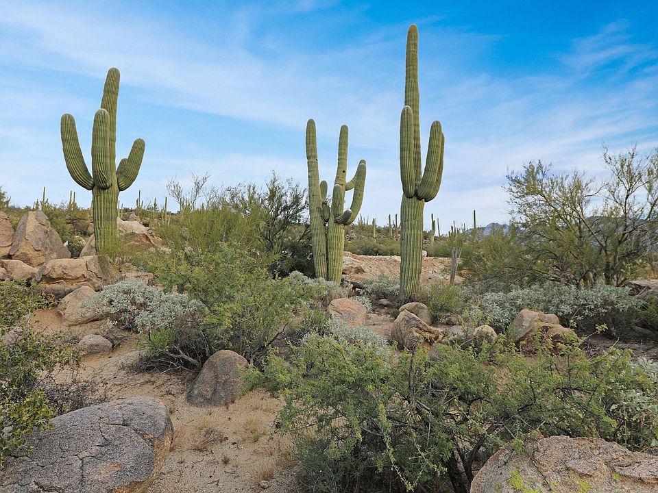 2nd image of 1806 W Tortolita Mountain Cir #587