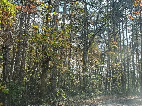 1822 Mineral Bluff Hwy, Mineral Bluff, GA 30559