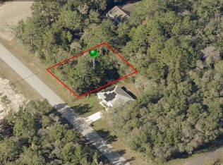 9163 N Golfview Dr, Citrus Springs, FL 34434