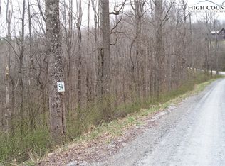 Lot 54 Toms Knob Road, Sparta, NC 28675