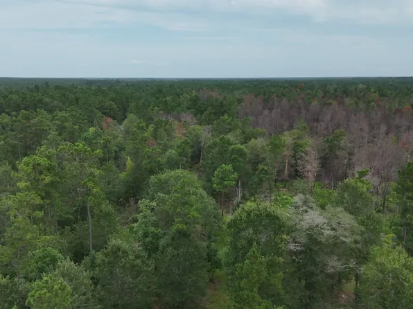 0 Tom Marsh Rd, Livingston, TX 77351