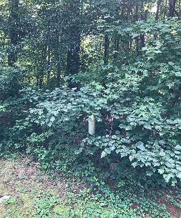 5th image of 140 Bradford Ln #7