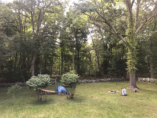 Backyard view from porch