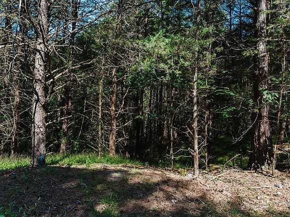 3rd image of River Rd