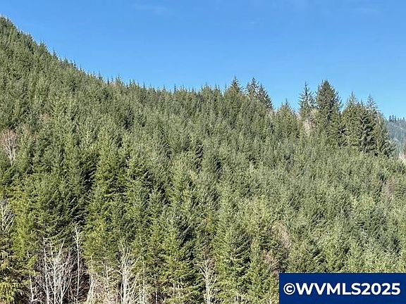 5th image of 0 Logsden Rd