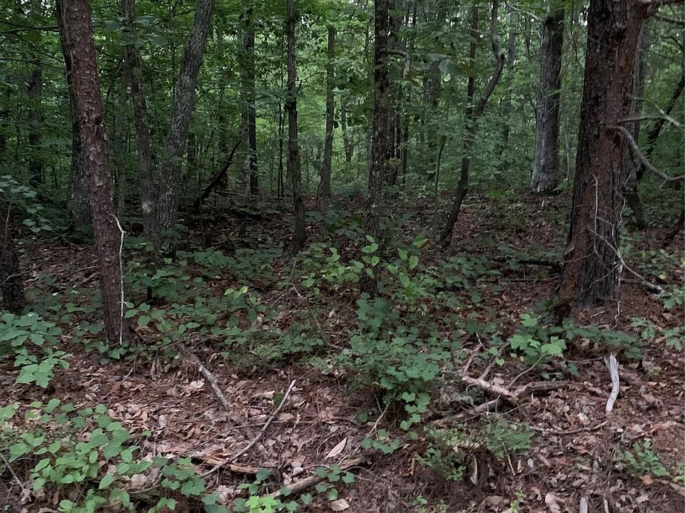 2nd image of 0 Ore Bank Rd