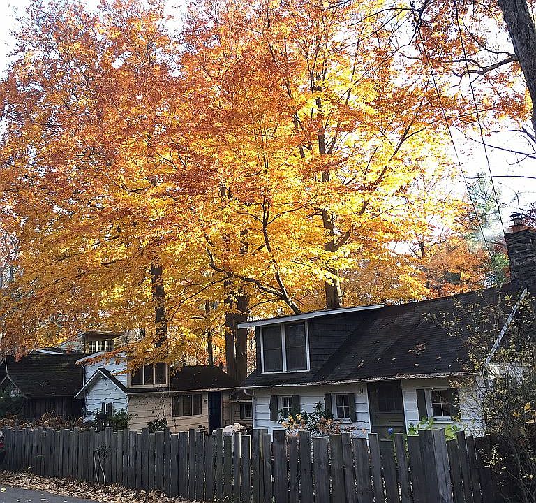 2nd image of 31 Pine Grove St