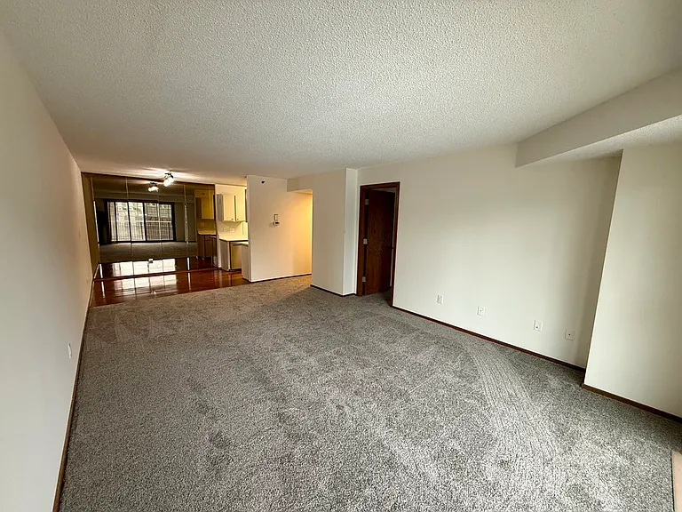 121 Washington Ave S #404 — Photo 4