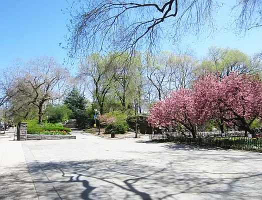 Rented by Rachel Realty | media 11