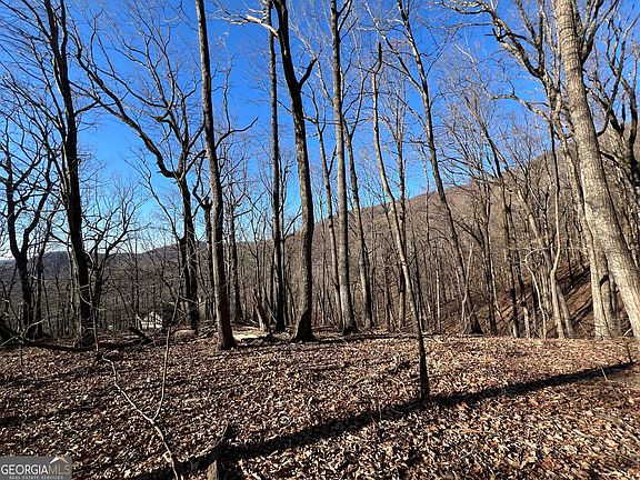 5th image of 4548 Sassafras Mountain Trl