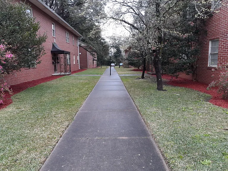 233 Corbin Ave — Photo 6