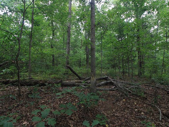 5th image of 0 Macdonald Rd Lot 2