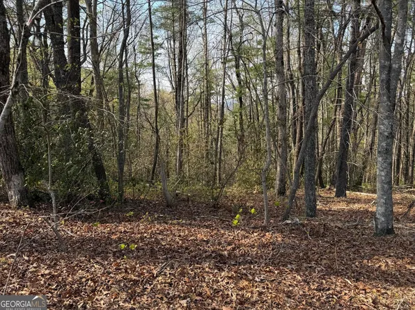 552 Long Laurel Ridge Dr Lot 2, Lakemont, GA 30552