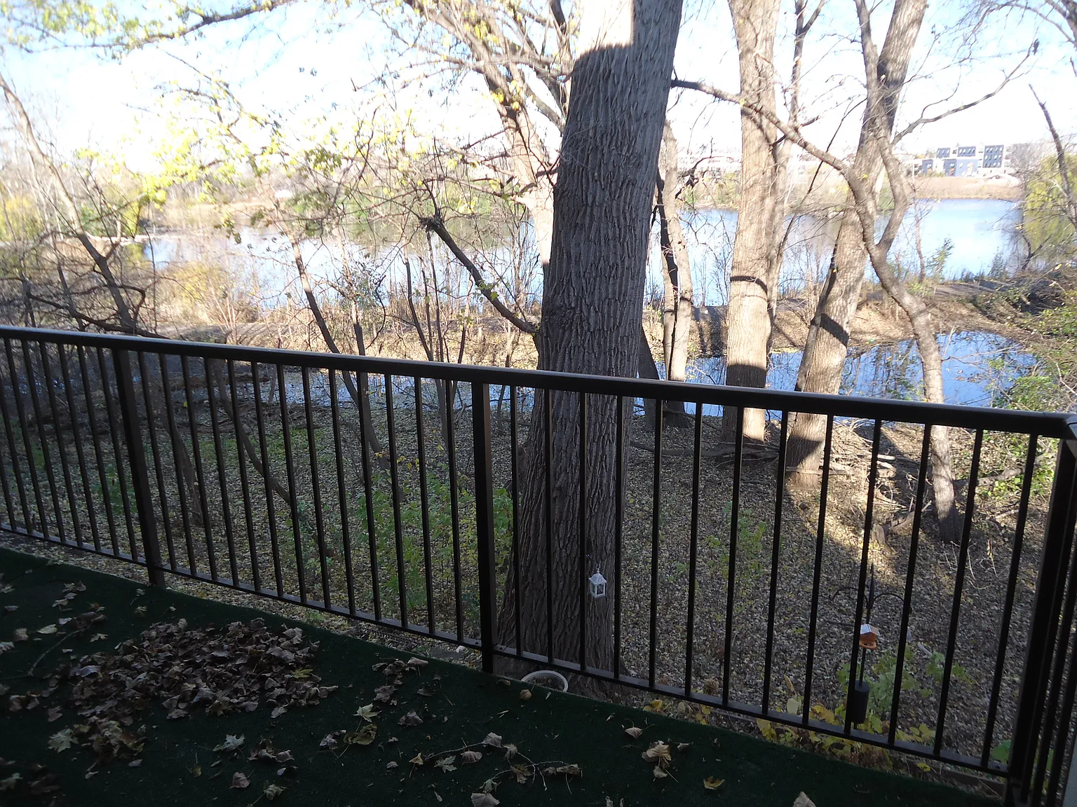 3 bed, 1262 sqft, $2,050 — Photo 2