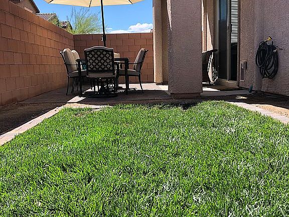 grass & paver patio In back