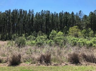 1305 Wood Sorrel Dr LOT 19, Moncks Corner, SC 29461