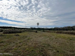 Coal Bluff Rd, Lena, MS 39094