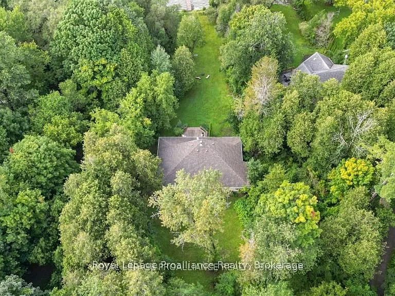 14246 Little Lake Rd — Photo 43