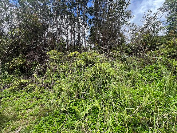 4th image of Plumeria St Lot 6405