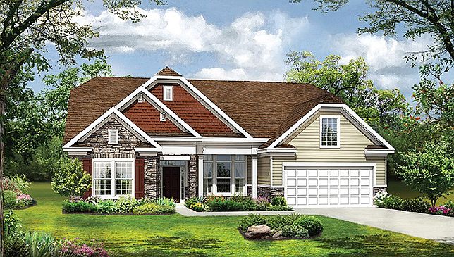 Elevation Image 1.