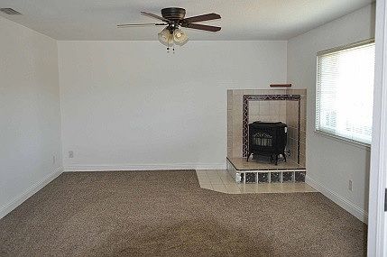 Pellet Stove